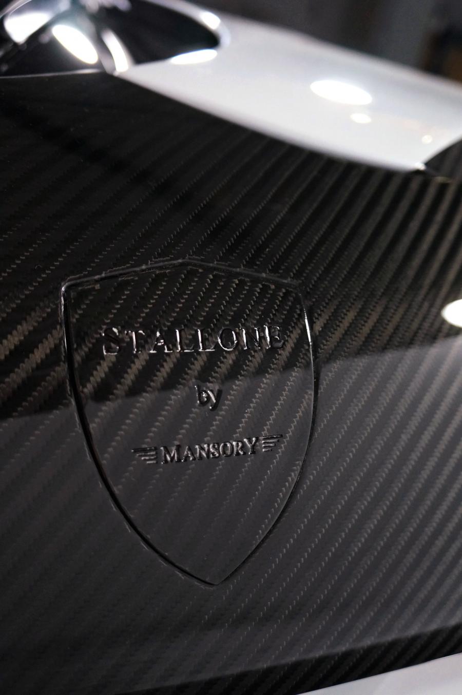 Детали экстерьера Ferrari F12berlinetta Stallone by Mansory 2013 года  (фото 11 из 24)